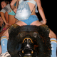 Illustration for article titled The UCLA Undie Run Will Never Die